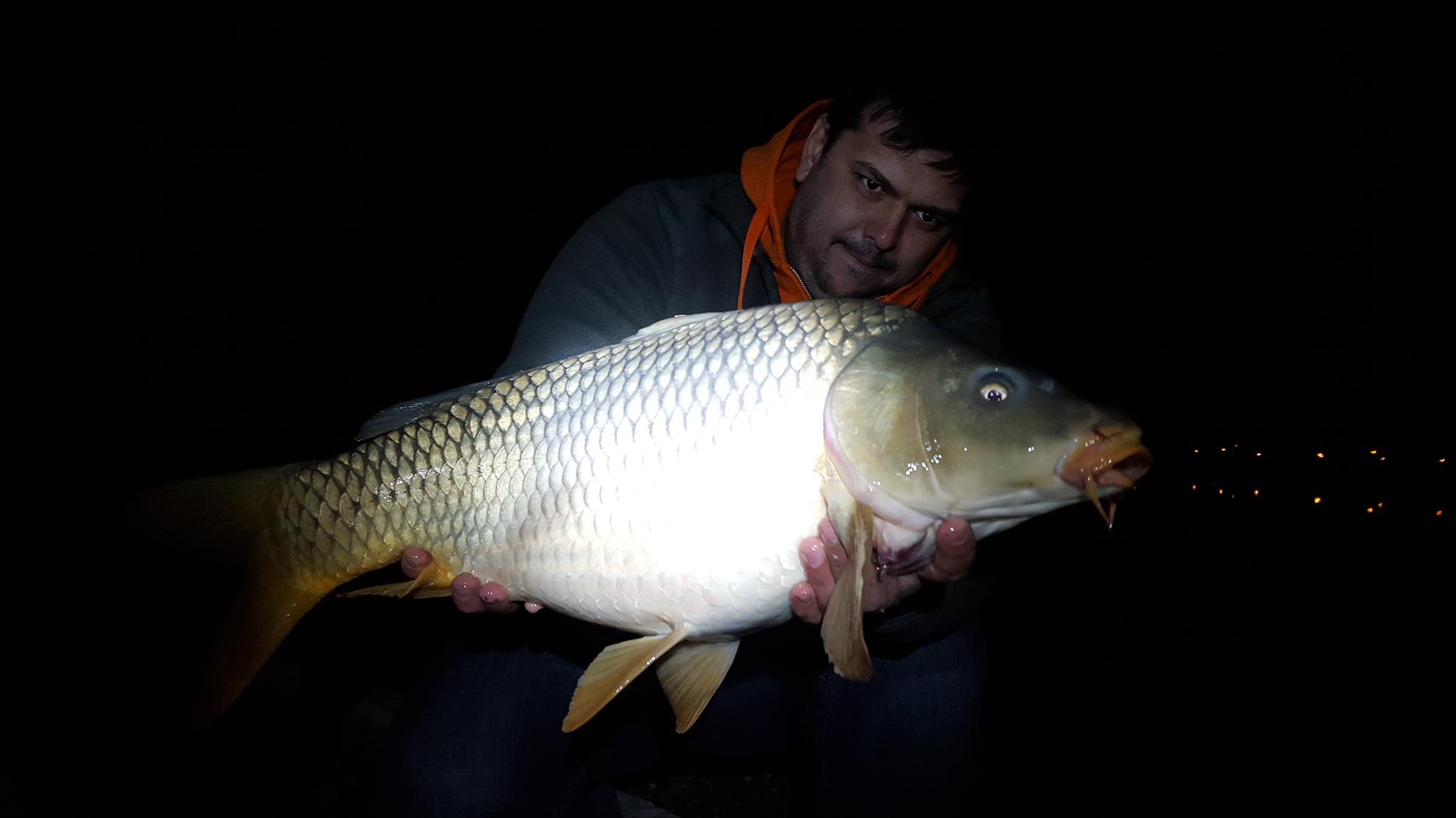 Hermes Peris 26 - 27 martie 2016 - 20160327050834.jpg